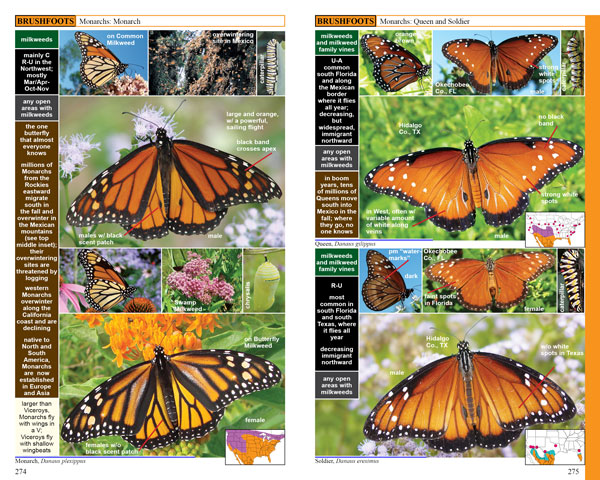 monarchs